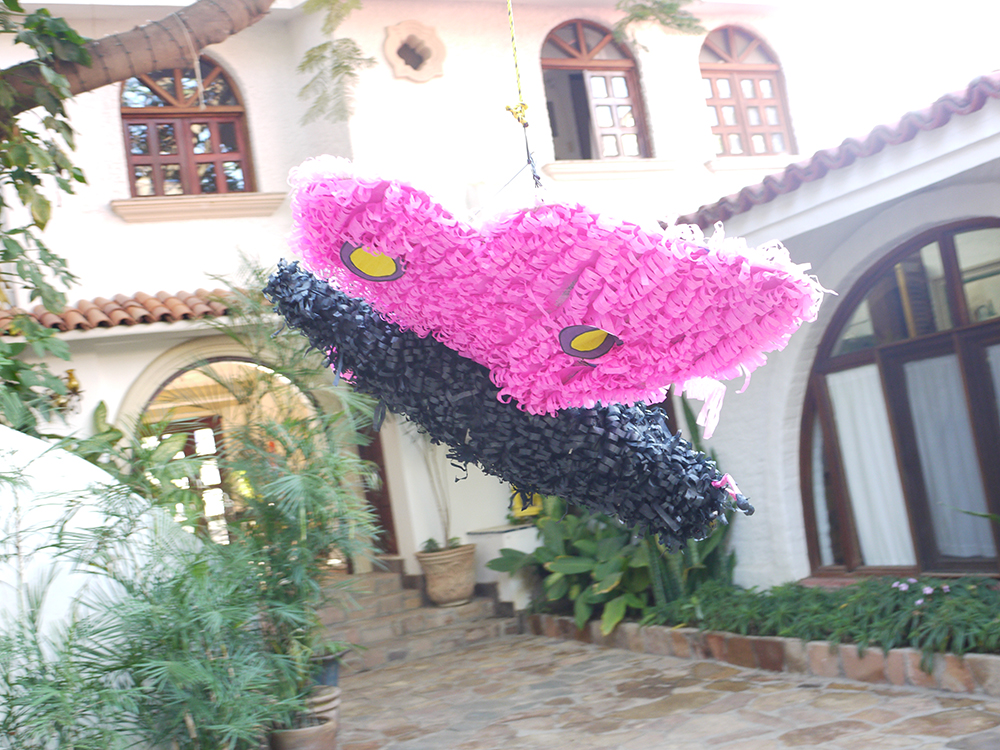 pinata